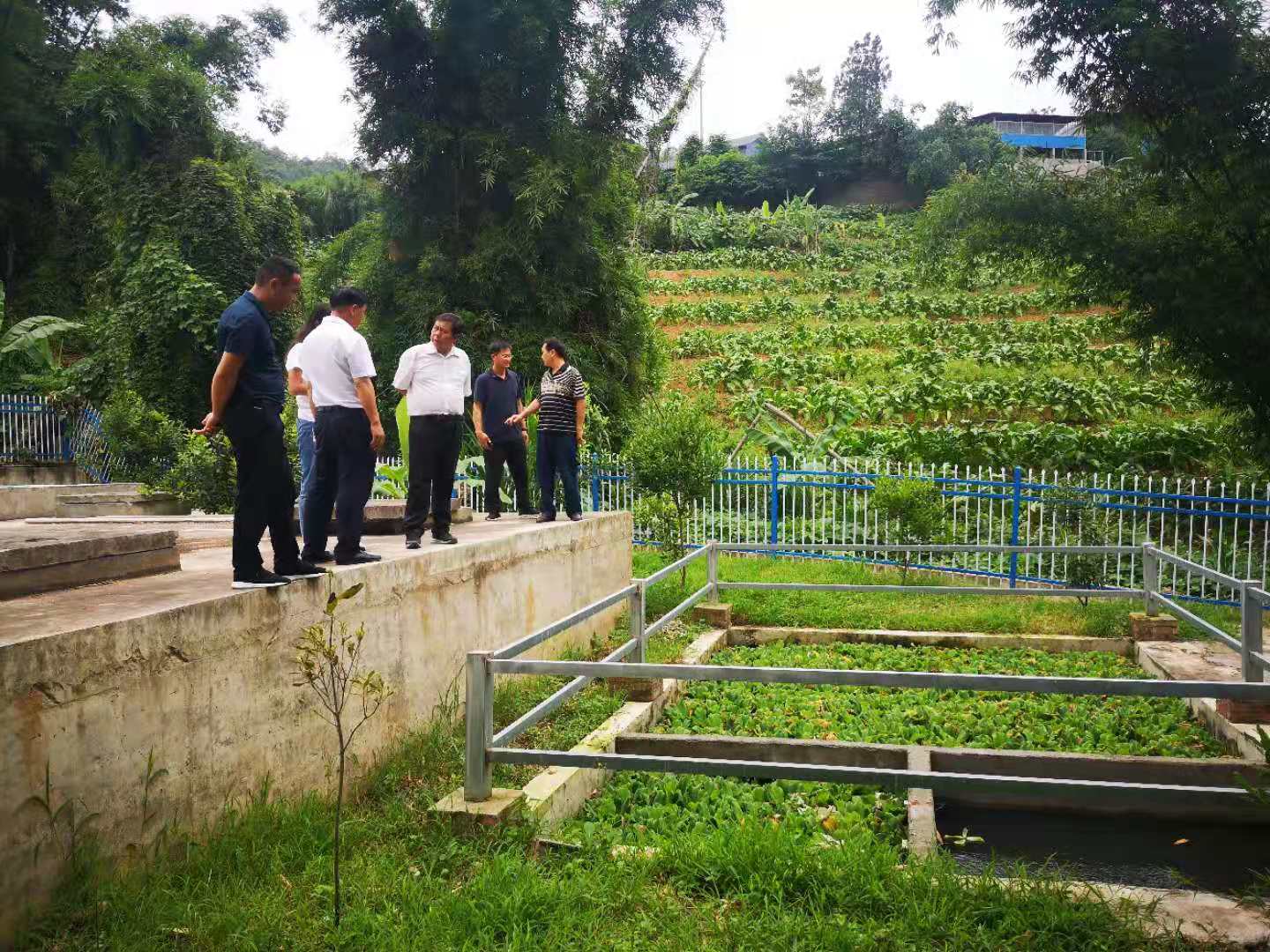 農村生活污水設備